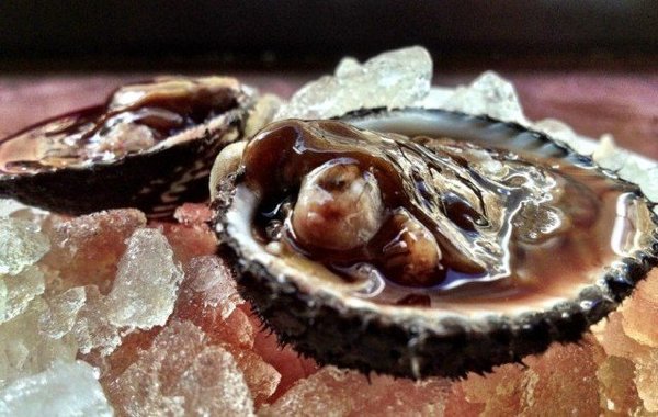 самые опасные блюда в мире. Смотреть фото самые опасные блюда в мире. Смотреть картинку самые опасные блюда в мире. Картинка про самые опасные блюда в мире. Фото самые опасные блюда в мире самые опасные блюда в мире. Смотреть фото самые опасные блюда в мире. Смотреть картинку самые опасные блюда в мире. Картинка про самые опасные блюда в мире. Фото самые опасные блюда в мире