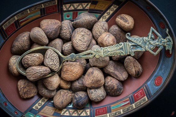 самые опасные блюда в мире. Смотреть фото самые опасные блюда в мире. Смотреть картинку самые опасные блюда в мире. Картинка про самые опасные блюда в мире. Фото самые опасные блюда в мире самые опасные блюда в мире. Смотреть фото самые опасные блюда в мире. Смотреть картинку самые опасные блюда в мире. Картинка про самые опасные блюда в мире. Фото самые опасные блюда в мире