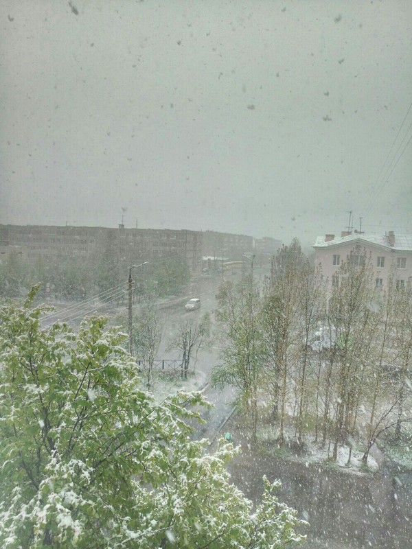 June 20, Murmansk region... - My, Snow, Summer