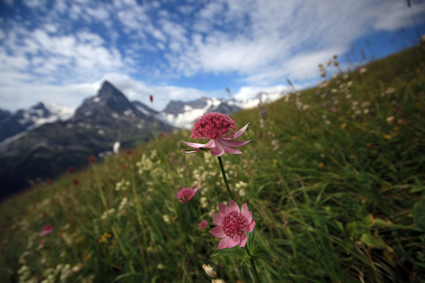 On the slope - My, Canon 600D, Sigma 10-20 mm, Dombay