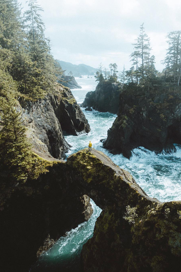 ������������ ���� ����� ������� ��������, ���� ������, ���