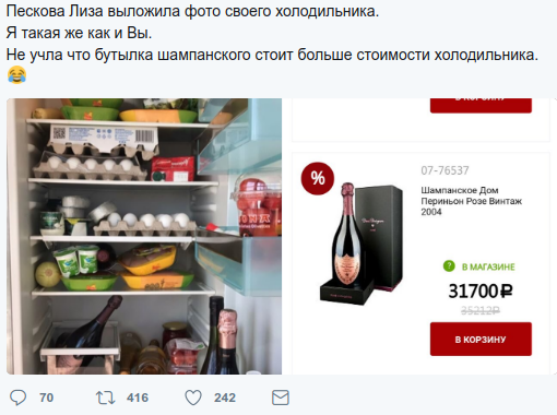 She's just like us... You pay taxes, she drinks Dom Perignon for your taxes - Liza Peskova, TP, Refrigerator, , Longpost, Politics