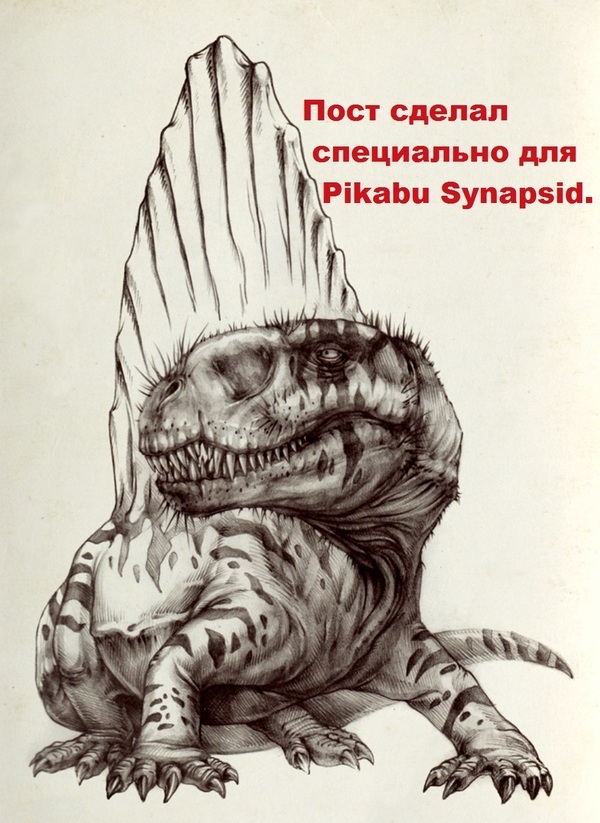 С чего всё начиналось. Сфенакодонты. Часть первая - Моё, Ssynapsid, Палеонтология, Синапсидоморфы, Пермский период, Длиннопост