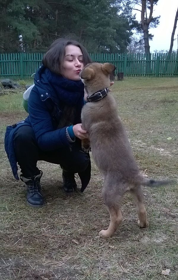 Post huge love or Check out my dog))) - Longpost, Pets, My, Mushrooms, Dog, The photo