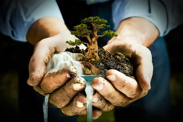 All in your hands... - The photo, Small world