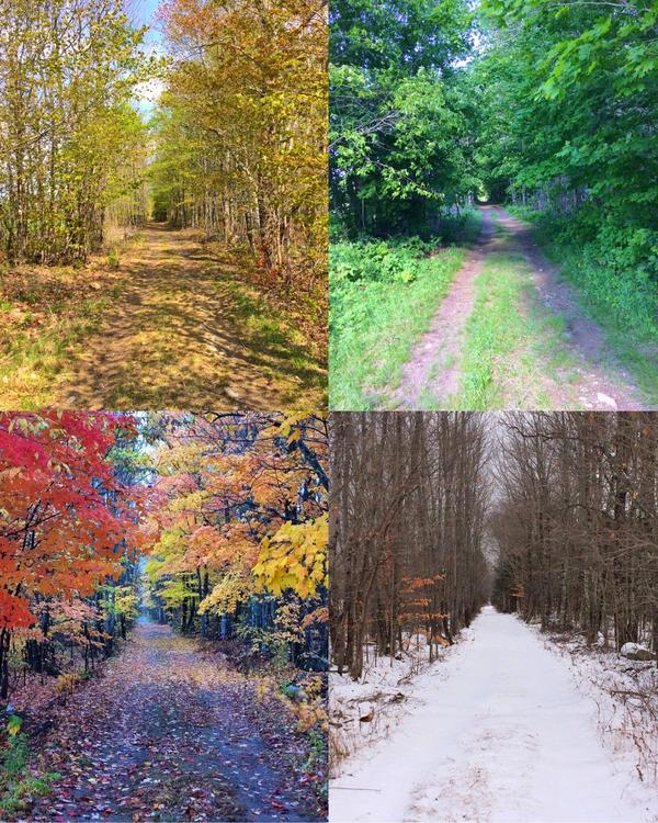 Seasons - Summer, Autumn, Winter, Spring