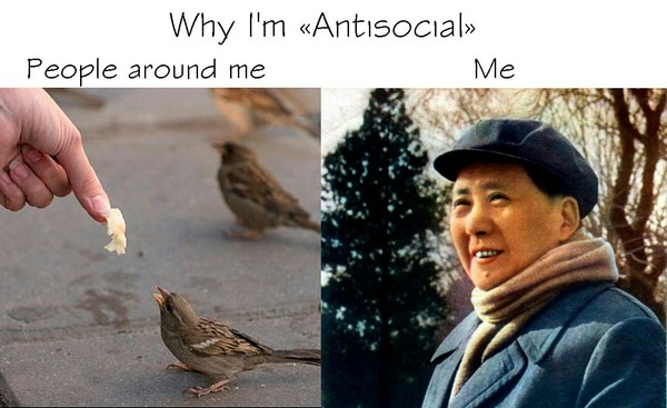 Why am I antisocial - Sparrow, Mao zedong, China, Antisociality, Hard