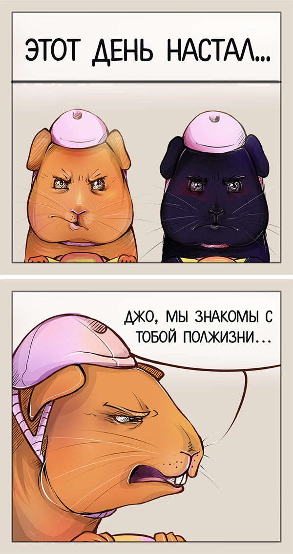 Race - My, Comics, Guinea pig, GIF with background, GIF, Longpost