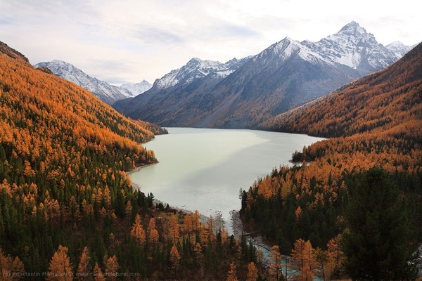 Kucherlinsky lakes. - Russia, The photo, Interesting, Lake, Altai, Nature, Tourism, Travels, Longpost, Altai Republic
