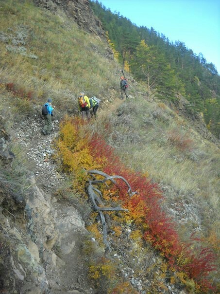 Path to the Big Cats - My, Baikal, Great Baikal Trail, Hike, Longpost