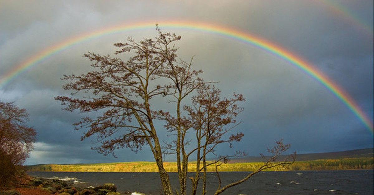 Fantastic rainbow