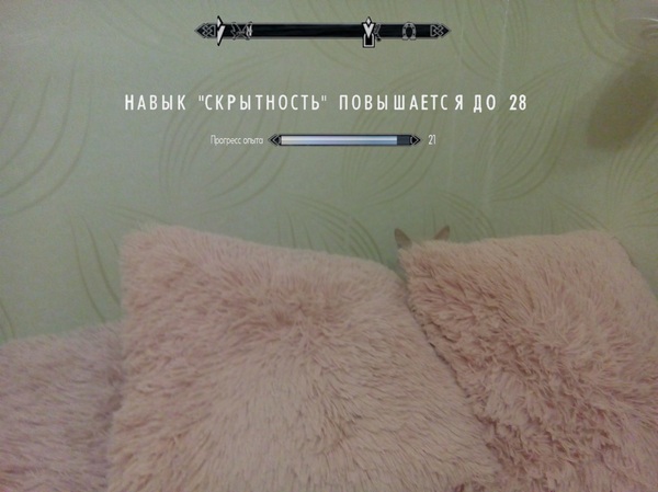 Скрытность - Моё, Кот, Скрытность, Skyrim