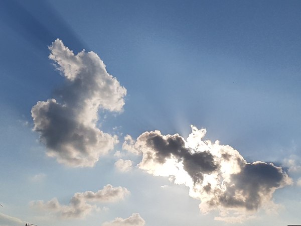 Друг мой, я очень и очень болен.. или за моим окном действительно крокодил Гена верхом на Ти-Рексе гонится за гигантским морским коньком?