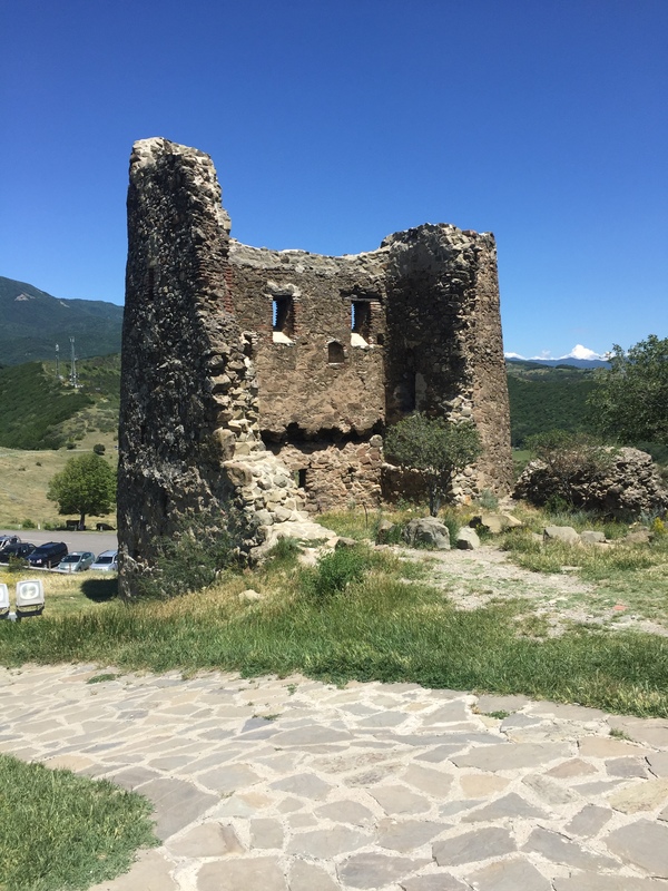 stoned wall - My, Mtskheta, , Vacation