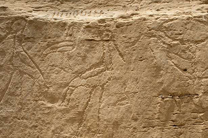 Найдены самые древние египетские иероглифы Археология, Древний Египет, Иероглифы
