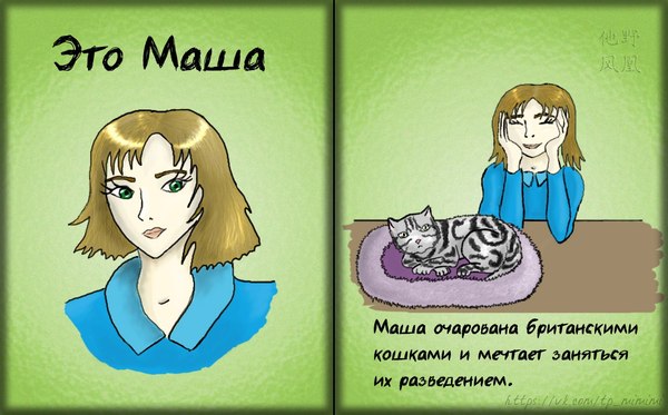 A comic book about the correct breeding of cats was drawn by a zookeeper from Novosibirsk - Longpost, Comics, cat, Catomafia, In contact with, Animal protection, Animals