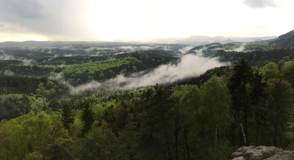 Bohemian Switzerland (national park) - My, , Czech, Switzerland, Hello reading tags, Photo on sneaker