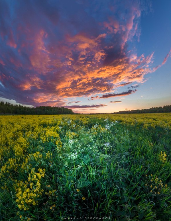 Sunset in Karelia - My, The photo, Карелия, Karelia is my summer nature, Walk, Blog, Video