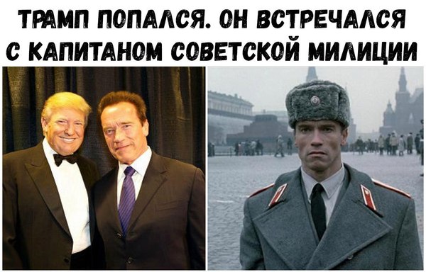 And you say you're not involved... - Donald Trump, Arnold Schwarzenegger, Politics, Red heat, Humor