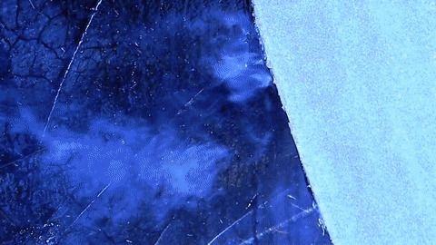    , ,  , ,  , 
