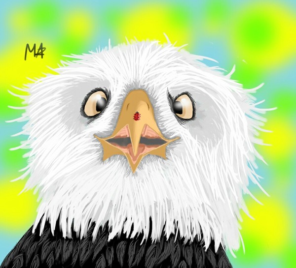 I really liked the eagle in the photo, whose feathers were in different directions due to the wind ... But I managed to portray it differently .. - My, Eaglet, Beginner artist, Interesting