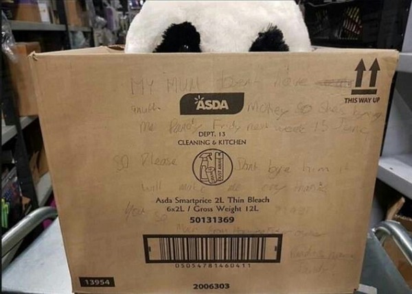 10-year-old boy became famous thanks to a note on the box - Children, Toys, Soft toy, Boy, Panda