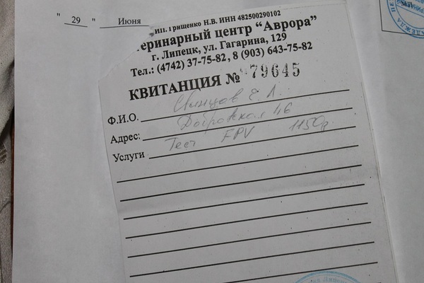 Cotoland. Sad news. - My, cat, Shelter, Disease, Help, Kindness, Cotoland, Lipetsk, Longpost, Shelter Cotoland