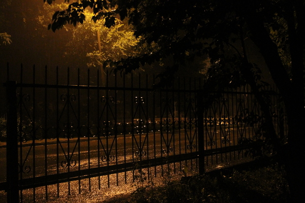 We have a thunderstorm today. - My, Thunderstorm, The photo, The park, Rain, Romance, Canon 1100d, Primorsky Krai