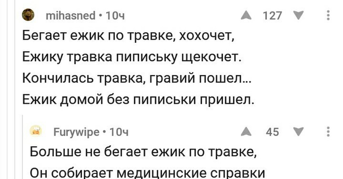 Ежик по травке бежит и хохочет ежику. Стих Ёжик по травке бежит и хохочет. Анекдоты про Ёжика бежит по травке. Стих про Ёжика и травку. Стих Ёжик по травке бежит.