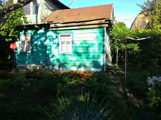 I rent a cottage in Saratov - My, Dacha, Rent, Longpost