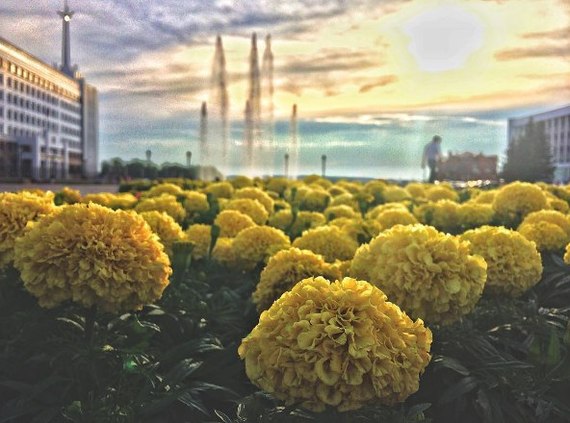 Sunny flowers on the Embankment - Tomsk, Embankment, Flowers, Beautiful