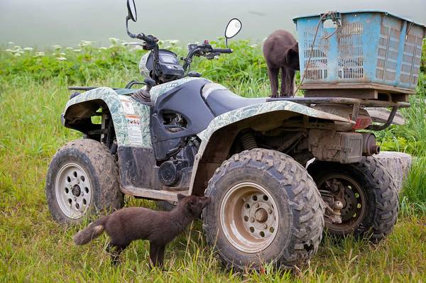 «Техосмотр».