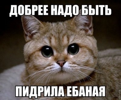  ,      ... ,    , , , 90-, , 