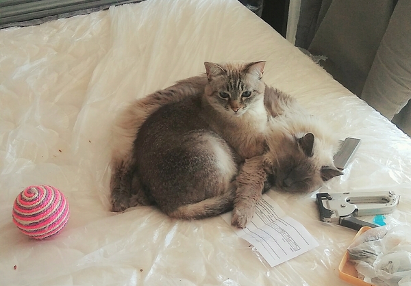 ������ - ��������� ���������... �� �� ��� ���� �������