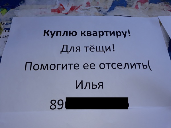 Объявление Безысходность - Объявление, Смешные объявления, Любимая тёща, Теща Зло, Теща, Квартира