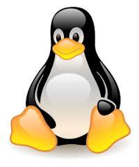 The story of one penguin - My, Linux, University, Teacher