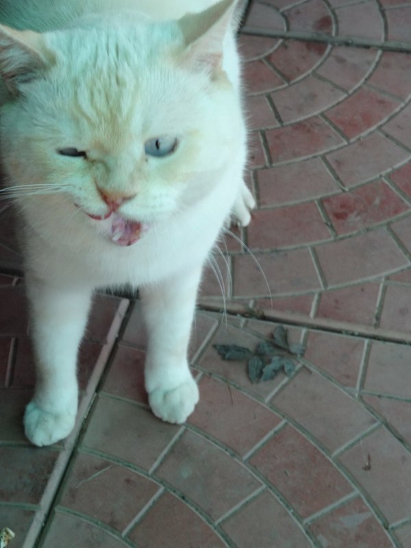 "Спасибо", - говорит.