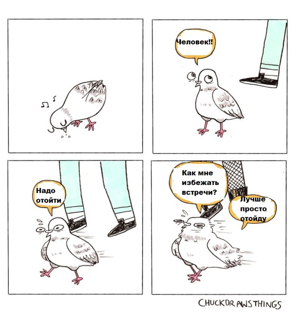 Ленивые птицы