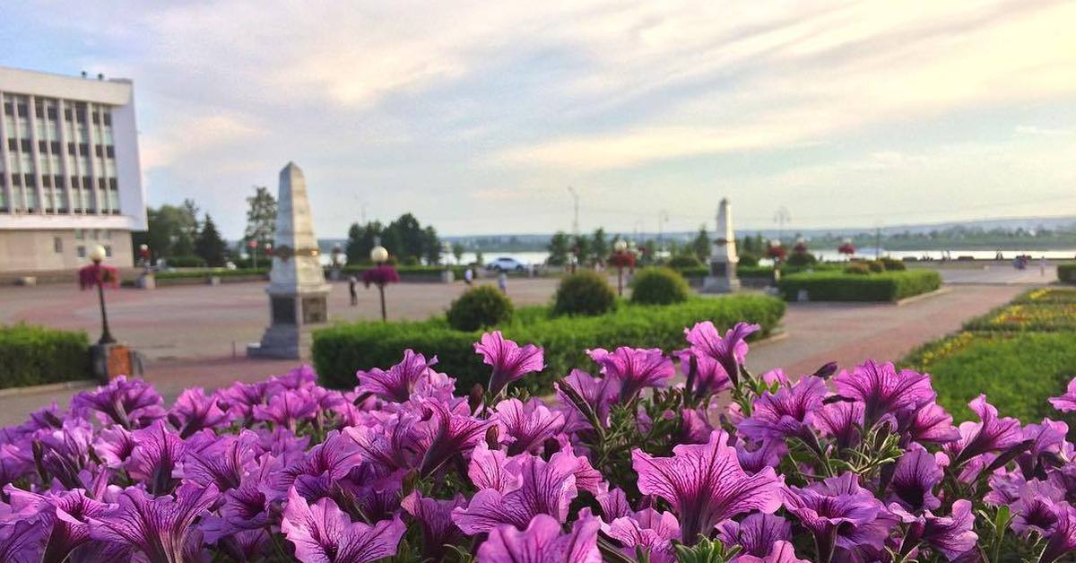 Цветы томск. Томск цветет. Цветущий мир Томск. Томск в цветах. Красота растений Ульяновска.