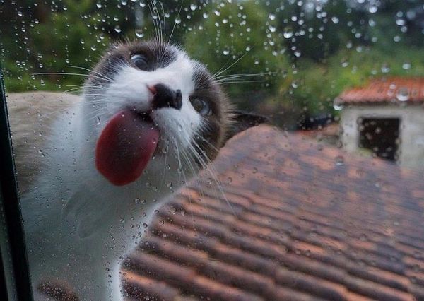    ... , , , 