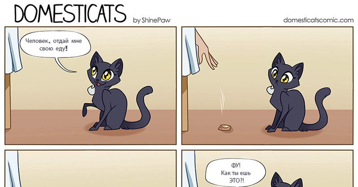 Ис кот. Комиксы про кошек. Комикс про домашних питомцев. Смешные комиксы про котов. Котики и еда комикс.