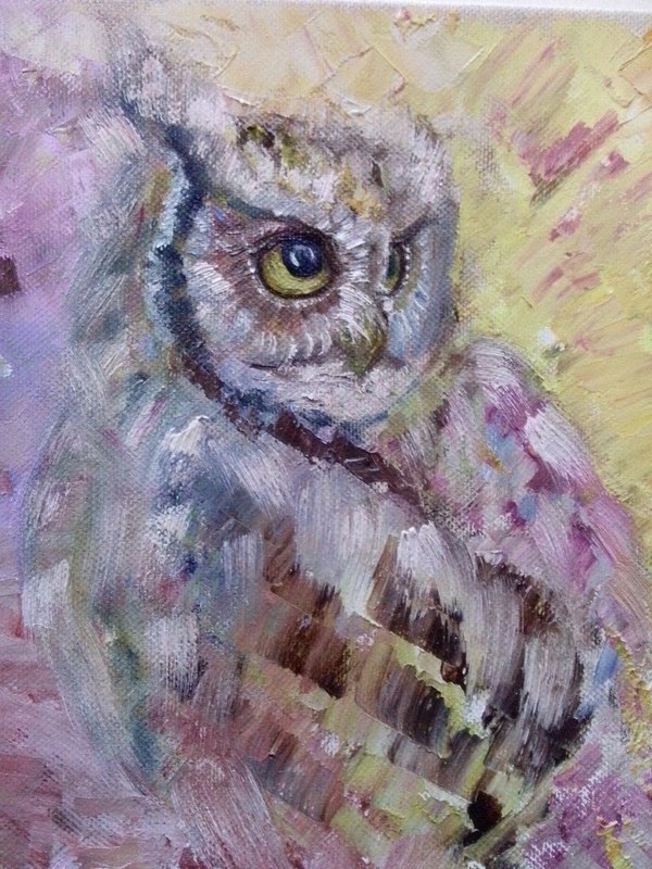 Owl. Oil. - My, Painting, Oil painting, Painting, Owl, Painting