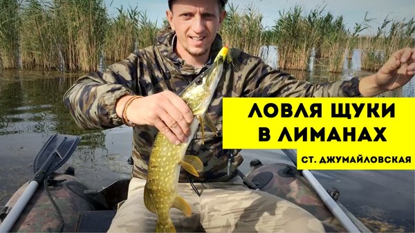 Catching shuka with surface lures // Fishing in Krasnodar \ Barrakuda show - My, Hunting and fishing, Krasnodar, Fishing, Pike, , , Hearthstone, 