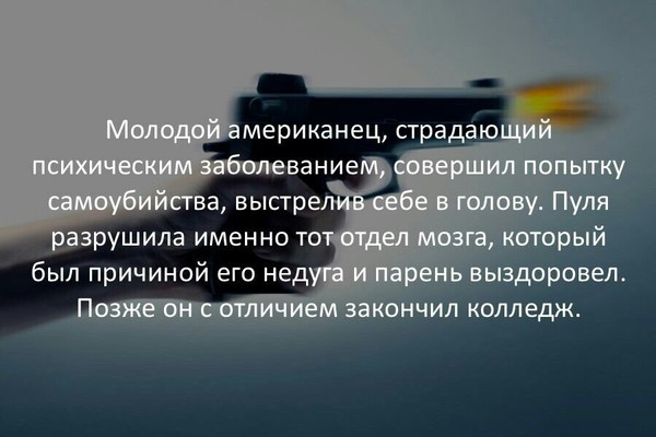 Четверо ламповых котов подрались ради этого поста - История, Выдумка