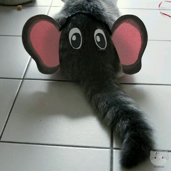 Домашний слоник