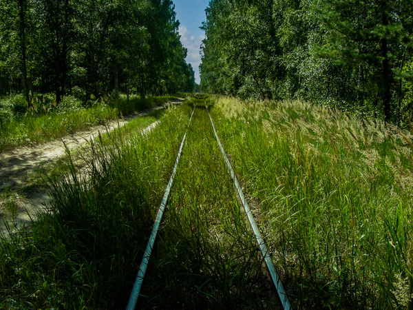 Post in memory of the Ryazanovskaya narrow-gauge railway ... - My, Narrow gauge, Locomotive, Trolley, Railway carriage, Railway, , , Rails, Longpost