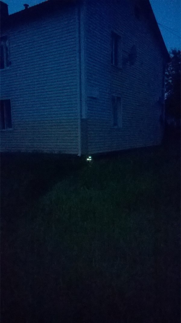 In the dark... - My, cat, Night, Reflection, Longpost