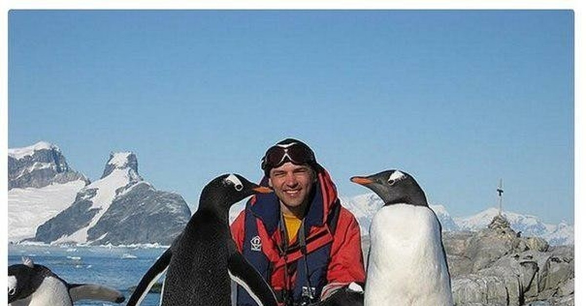 Поднимать пингвинов в антарктиде вакансии. Переворачиватель пингвинов профессия. Антарктида переворачиватель пингвинов. Самая редкая профессия в мире переворачиватель пингвинов. Профессия переворачивать пингвинов в Антарктиде.
