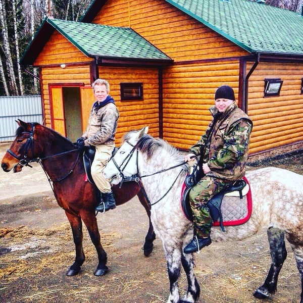 Потеря любимого коня - Потеря, Боль, Моё, Любимый конь