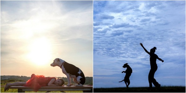 American photographer takes pictures of stray dogs, saving them from death - Dog, Animals, Longpost